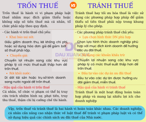 Phân biệt giữa trốn thuế và tránh thuế