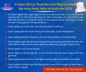 9 NHÓM DN CỤC THUẾ (tên cũ là TỔNG CỤC THUẾ) TẬP TRUNG THANH, KIỂM TRA THUẾ NĂM 2025